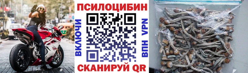 Купить где  Елизово  Псилоцибиновые грибы Magic Shrooms 